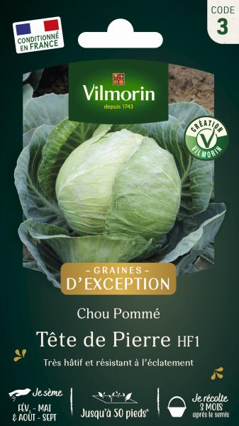 Potagères - Chou Blanc Tête de Pierre HF1 - Graines d'Exception - PACKAGING_RECTO